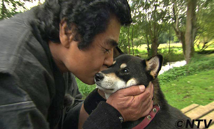 TV-Japonaise-elevage-CKK-志村どうぶつ園-Japanese-Dogs-by-Shimura-Zoo-Fujioka-Jyujyu-shiba-inu