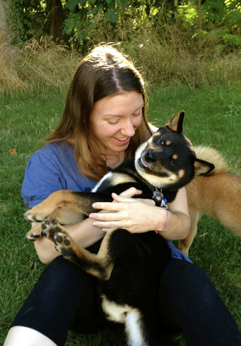 Contact-Chuken-Kiku-Kensha-Elevage-Shiba-inu-CKK-Education